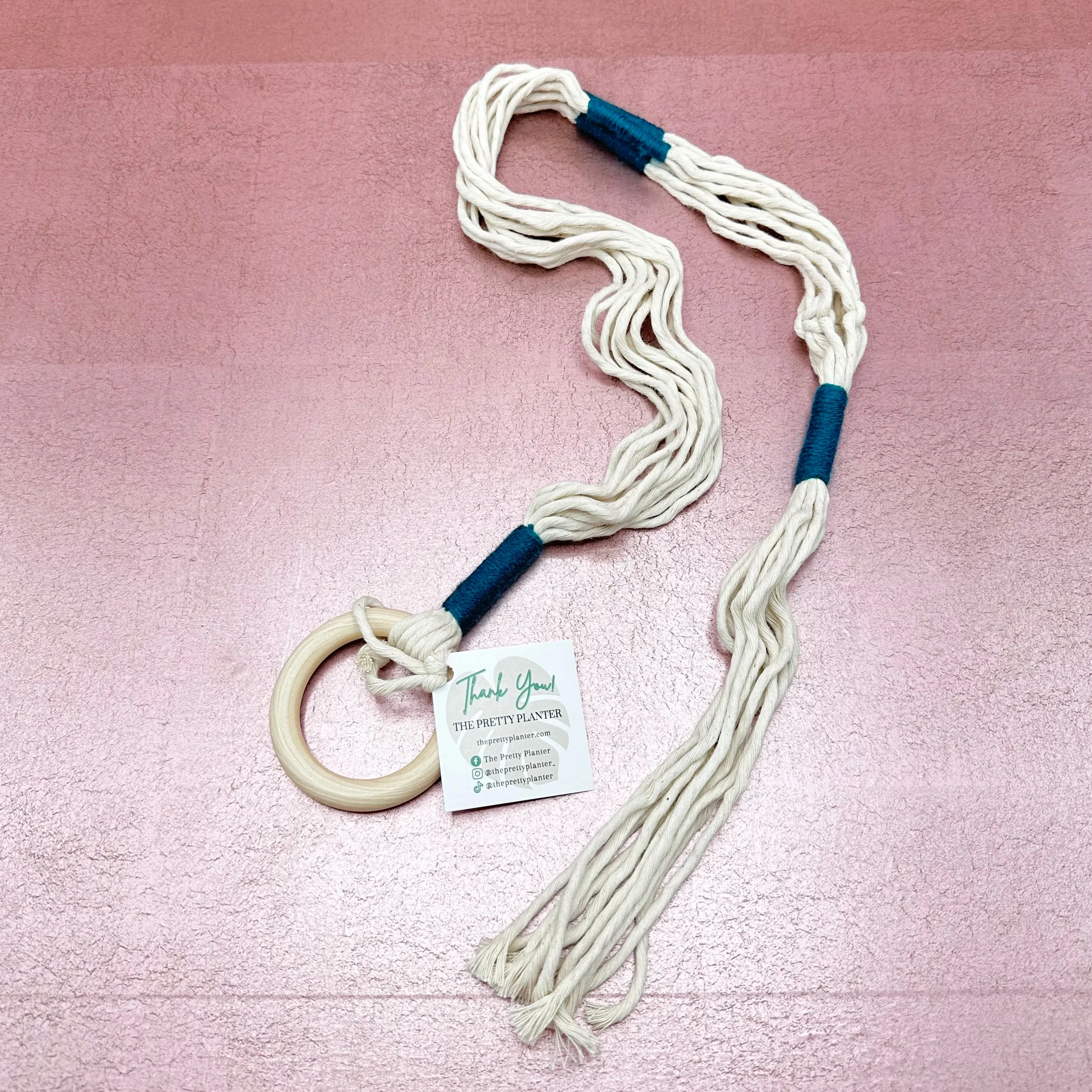 Color Blocked Macrame Plant Hanger
