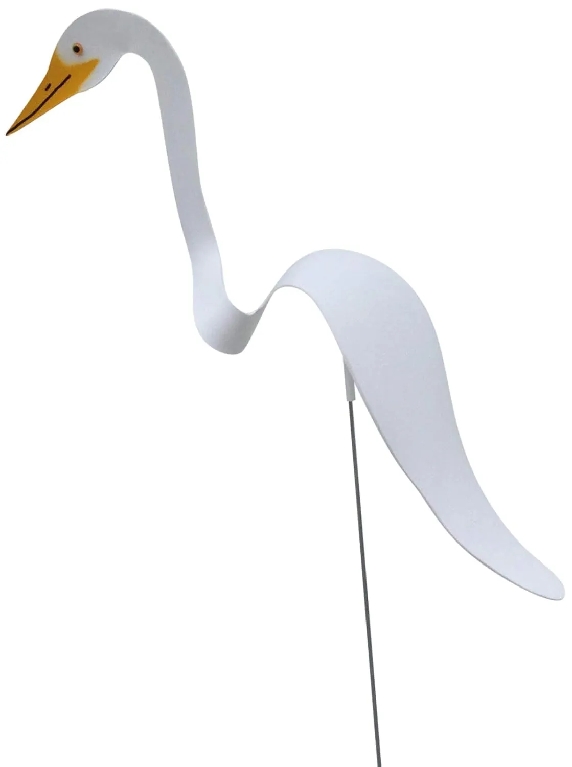 Dancing Yard Egret