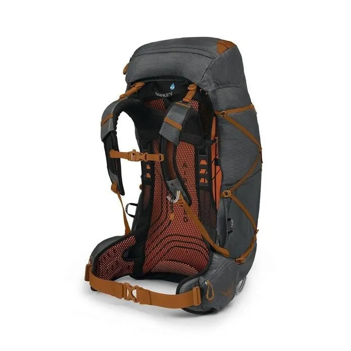 Exos 58 - L/XL