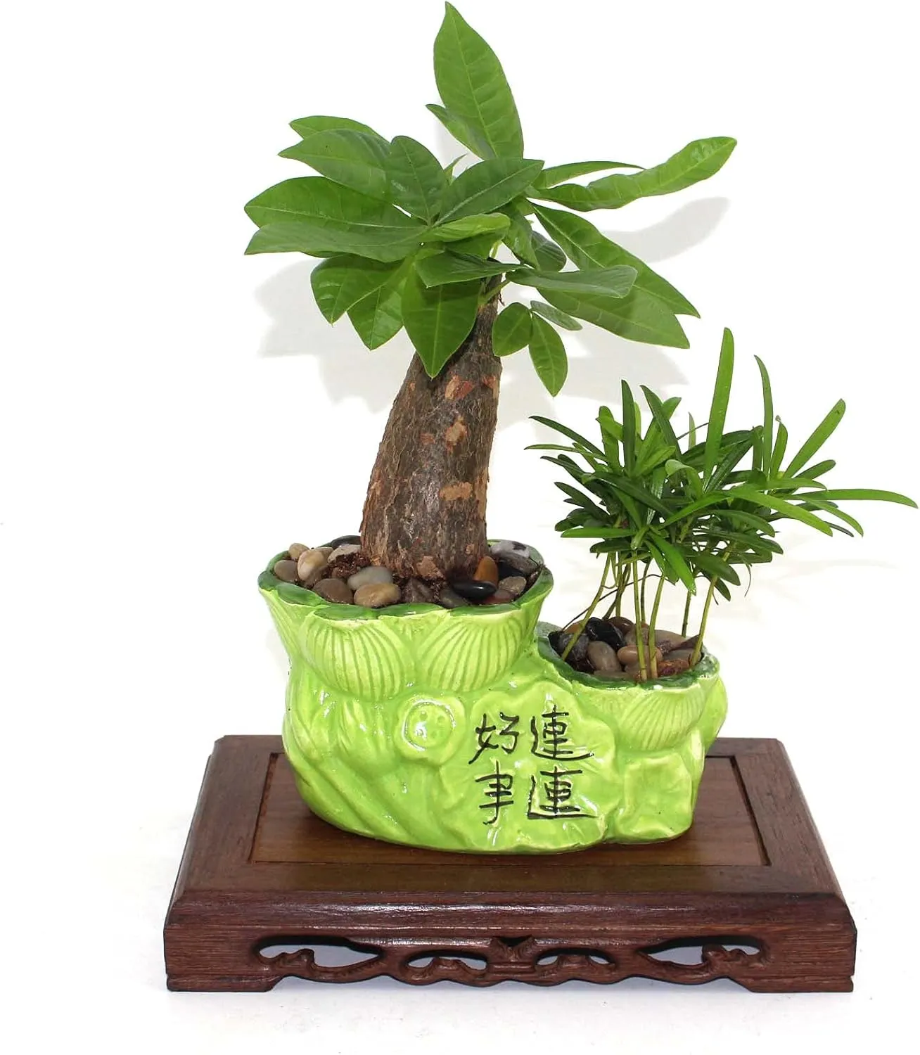 GOLDY&WENDY Oriental Furniture Rectangular Base Solid Wood Carved Fish Tank Vase Teapot Display Stand