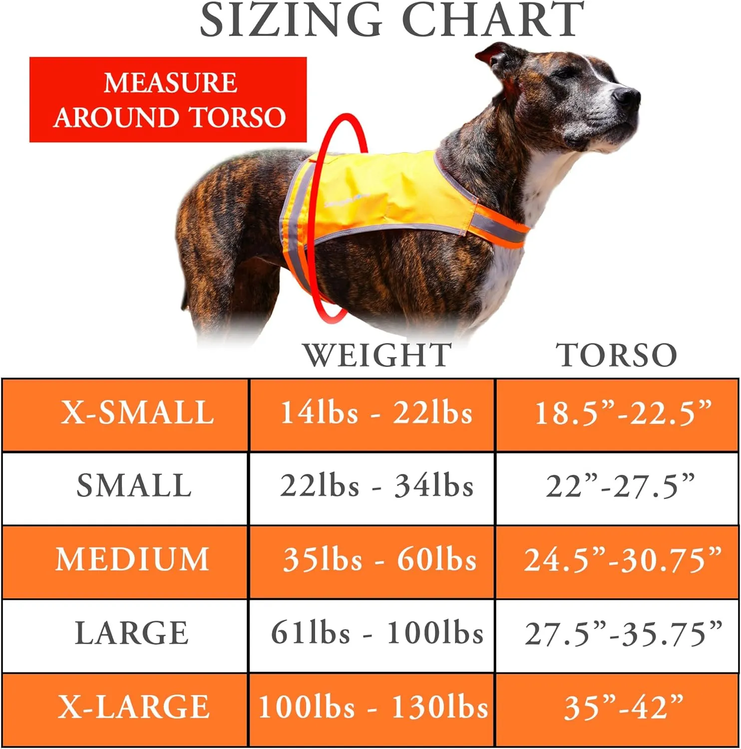 Lite Dog Vest. Coverage to Mid Back. Reflective Hi Visibility Blaze Orange Fluorescent Fabric Helps to Keep Them in Sight and Safe On and Off Leash.