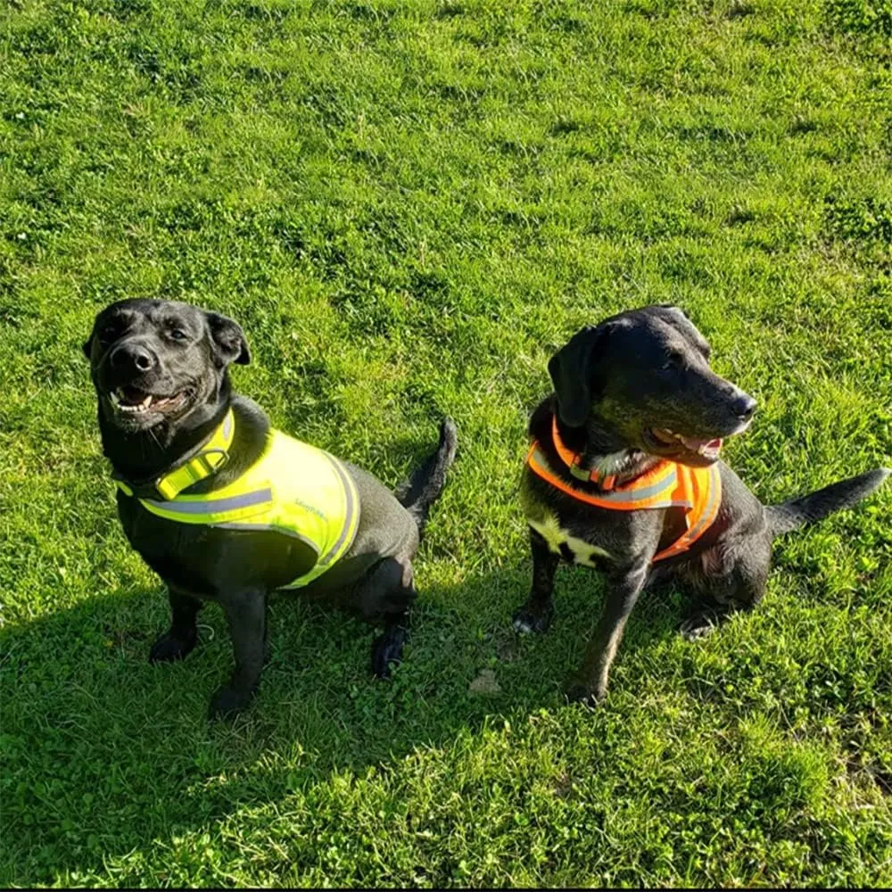 Lite Dog Vest. Coverage to Mid Back. Reflective Hi Visibility Blaze Orange Fluorescent Fabric Helps to Keep Them in Sight and Safe On and Off Leash.