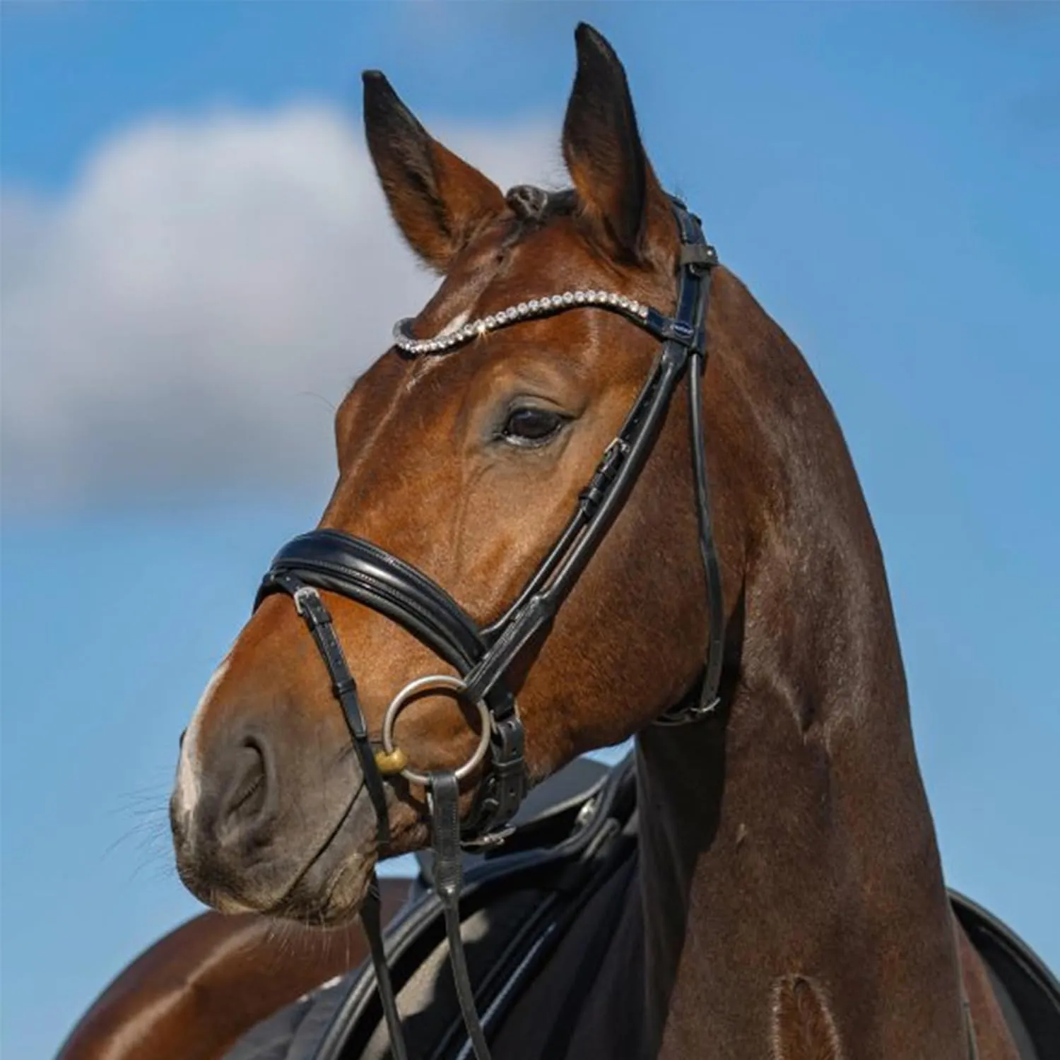 Round-Style Snaffle Bridle Harmony