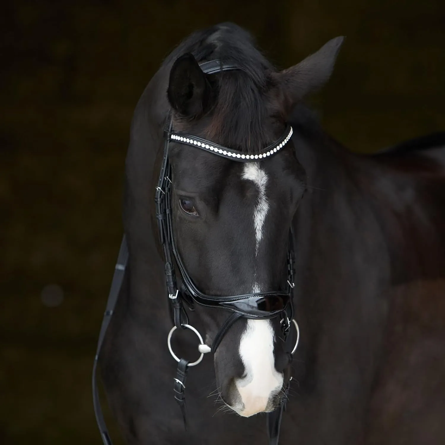 Snaffle Bridle Ultra Soft Amy Shine