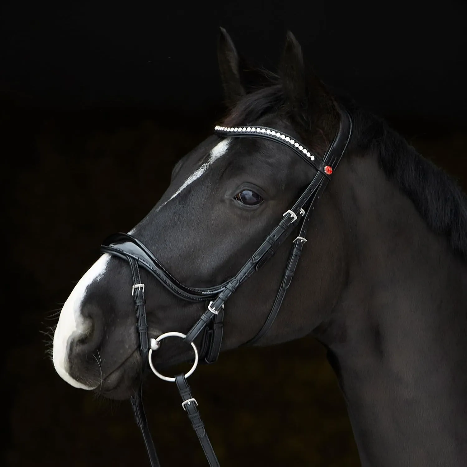 Snaffle Bridle Ultra Soft Amy Shine