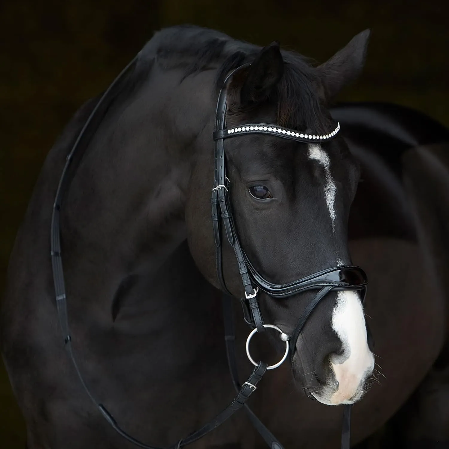Snaffle Bridle Ultra Soft Amy Shine
