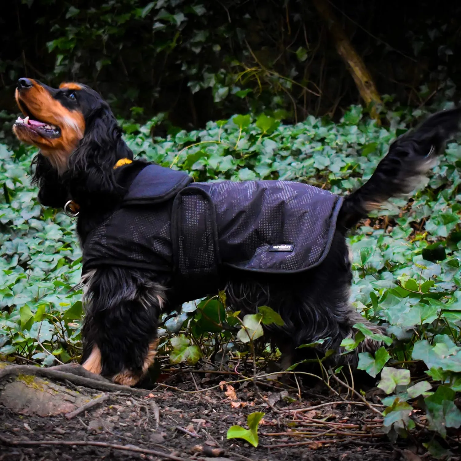 Sydney Reflective Dog Jacket X Small Black